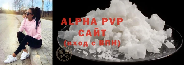 прущие грибы Вязьма