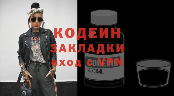прущие грибы Вязьма