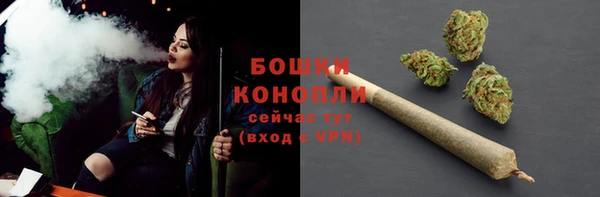 ALPHA PVP Горнозаводск