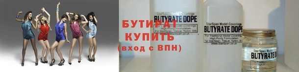прущие грибы Вязьма