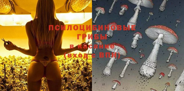 прущие грибы Вязьма