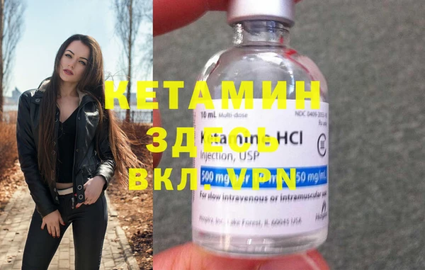 прущие грибы Вязьма