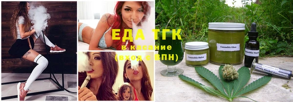 прущие грибы Вязьма