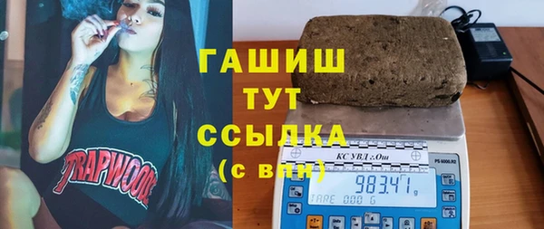 прущие грибы Вязьма